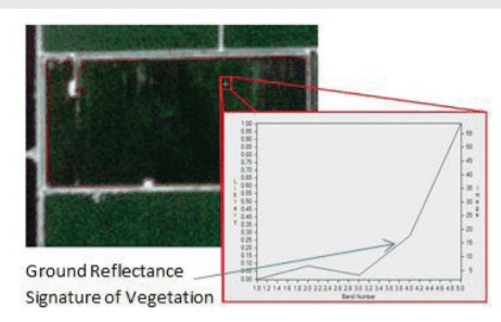 Image of the ground reflectance signature of vegetation