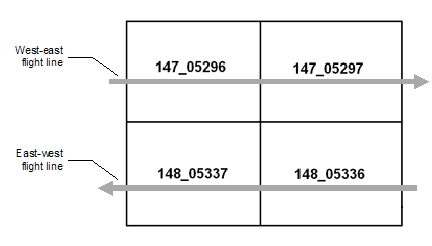 Direction of flight lines