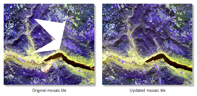 Original and updated mosaic