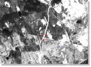 Comparing images in Focus