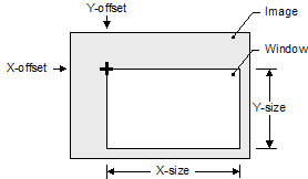 Raster input window