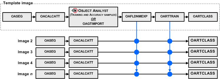 Workflow of Random Trees training and classification