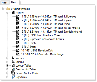 Files tab
