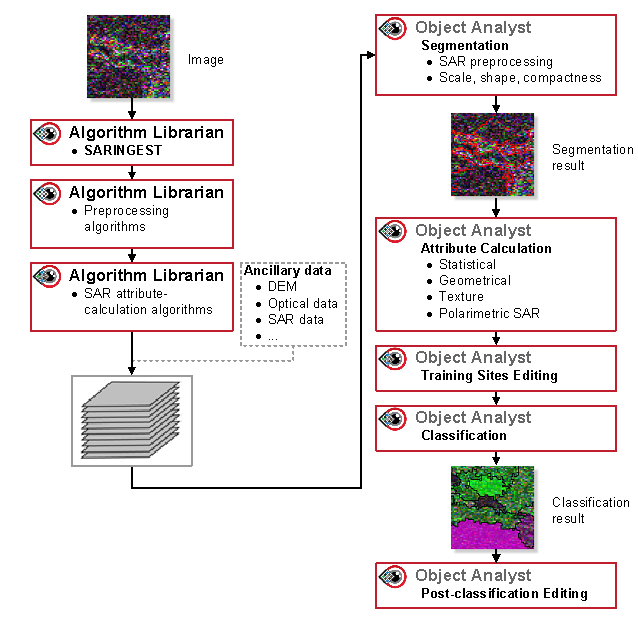 Workflow of manual preprocessing