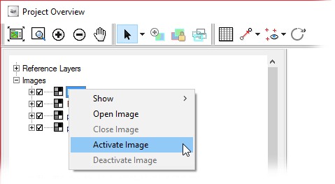 Activate Image command