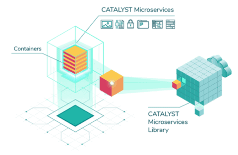 Diagram explaining how CATALYST CATALYST Microservices library of workflows and algorithms that are implemented on major cloud providers