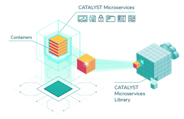 Diagram explaining how CATALYST CATALYST Microservices library of workflows and algorithms that are implemented on major cloud providers