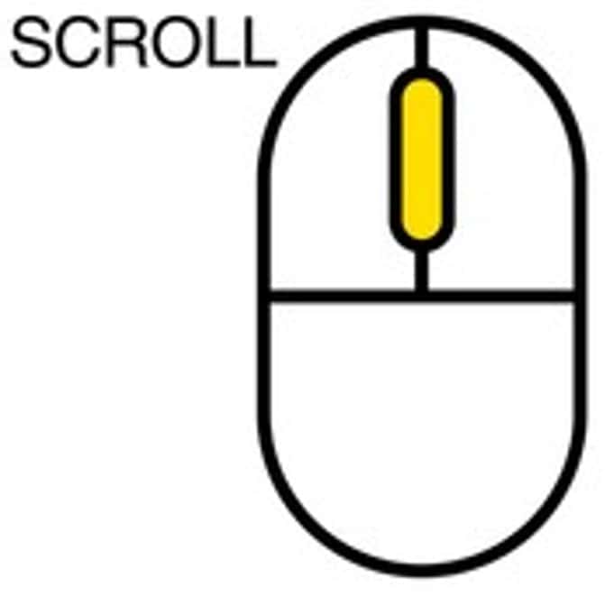 Mouse showing scroll wheel